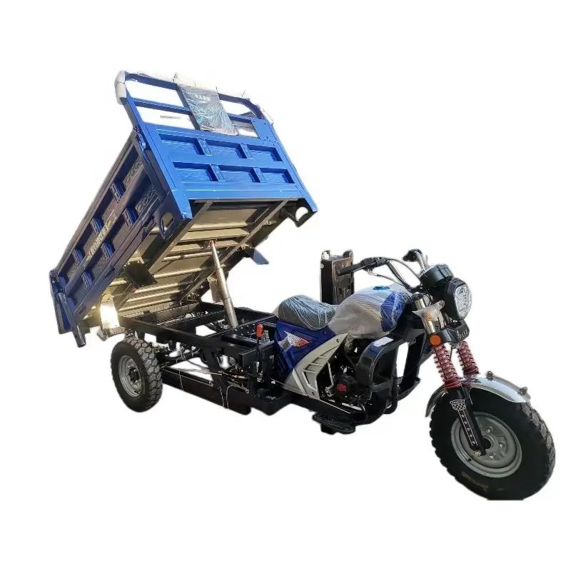 300 Cc Fuel Cargo Tricycle Water Cooled Farming Gasoline Motorcycle Tricycle With Carriage