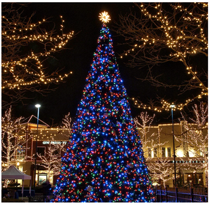 <strong>Multi</strong> <strong>Color</strong> Outdoor Led <strong>String</strong> <strong>Light</strong> Led Decoration Christmas <strong>Light</strong> - Product Image 4