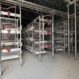 Vendita calda di nuove attrezzature per l'allevamento di polli-gabbie a strato di batteria per galline ovaiole in Algeria - Product Image 3
