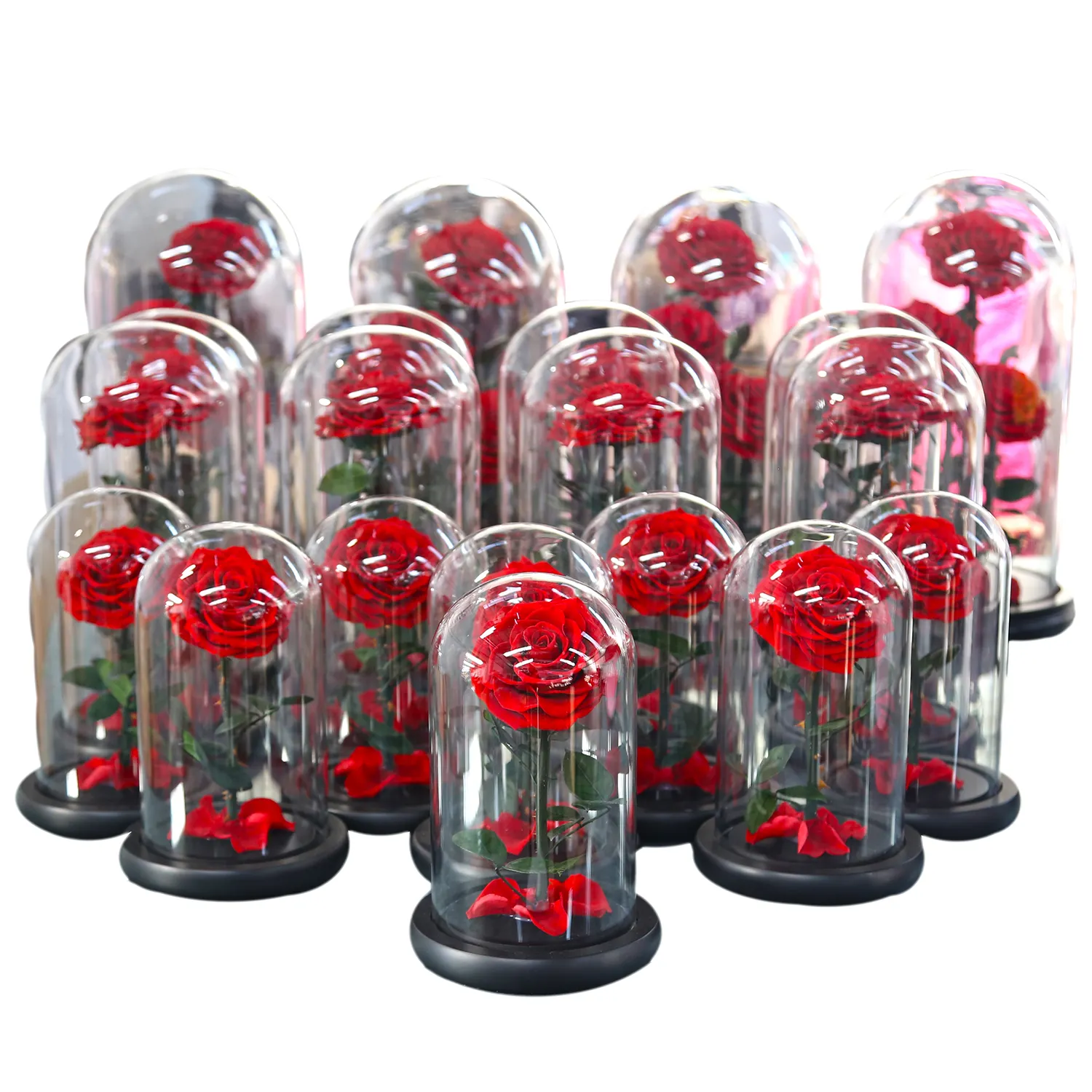 Real Natural Rose Belle Enchanted Mothers Day Gift Box Decor Everlasting Forever Eternal Rose Preserved Flower in Glass Dome LED