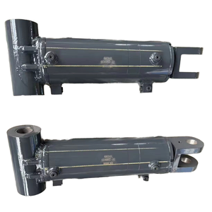 Đôi pivot mắt xi lanh thủy lực với khối van cho tùy chỉnh - Product Image 1