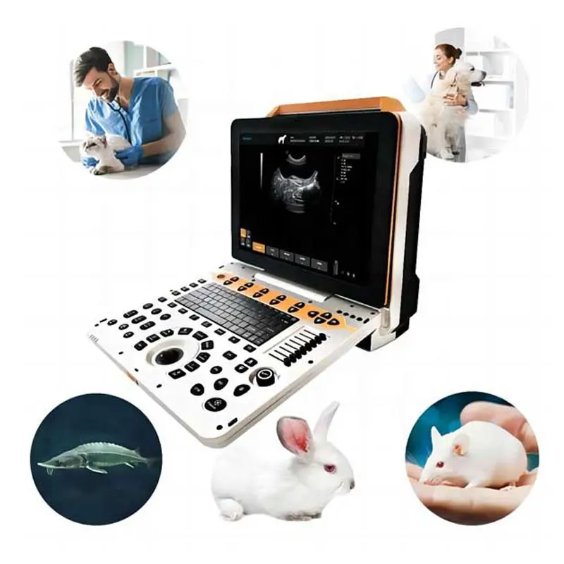 Amanhecer máquina veterinária portátil ultrassom doppler preço para animais