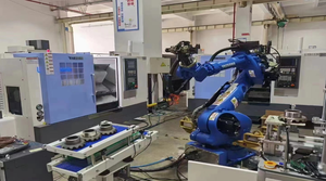 YASKAWA Robot casi di applicazione in carico e scarico pallettizzazione stampaggio a iniezione di stampaggio a caldo stampaggio a spruzzo - Product Image 4