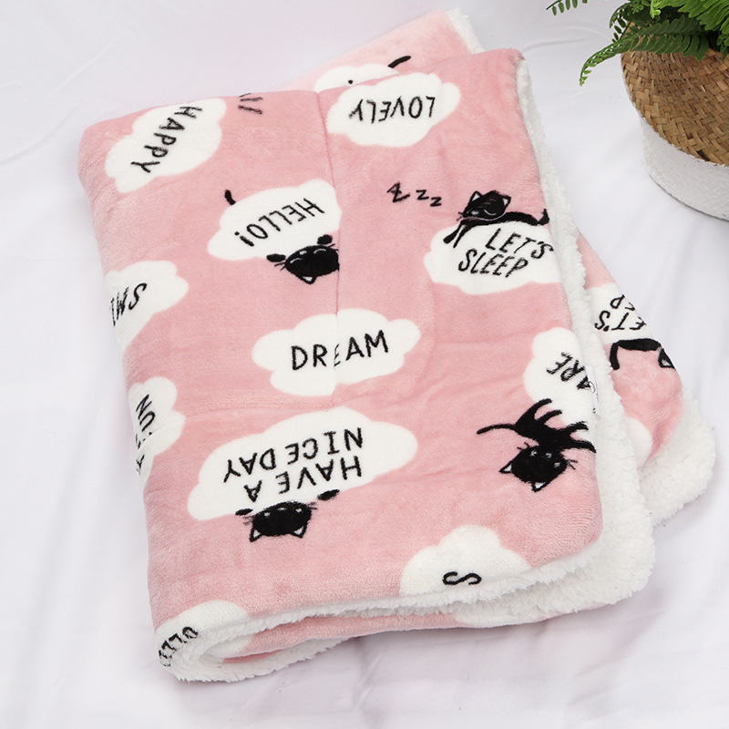 Chat rose nuage