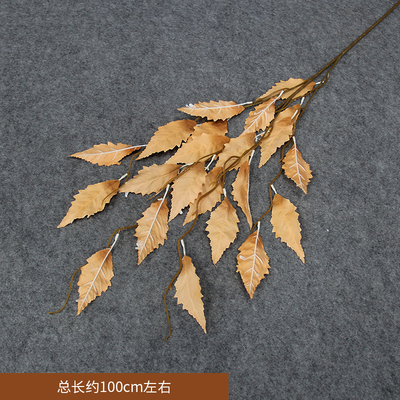 Feuille d'ange