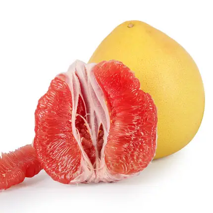 Venda por atacado de alta qualidade nova colete global gap sabor doce fresco pomelo grapefruit da china