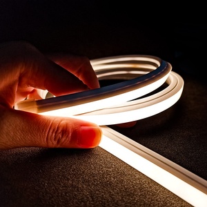 Flexible and Colorful <strong>Led</strong> Neon Light Size 10*10 <strong>mm</strong> with 120 <strong>Leds</strong> Applied in Outdoor Lighting - Product Image 5
