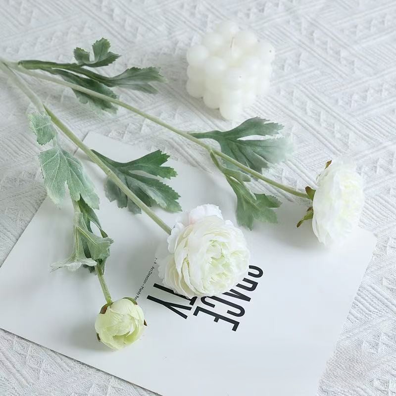 Blanc