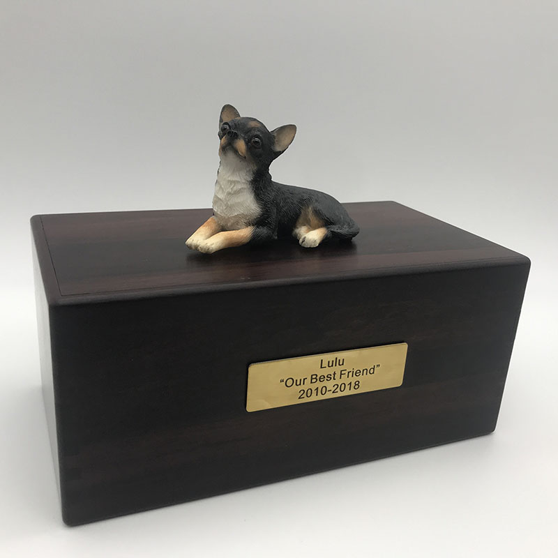 Chihuahua