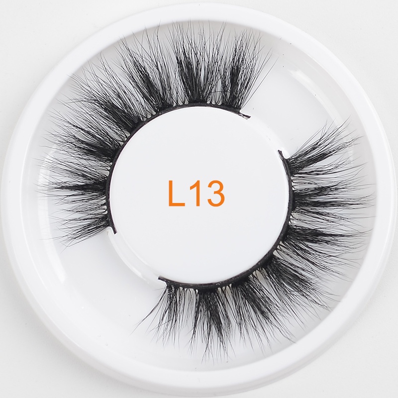 L13
