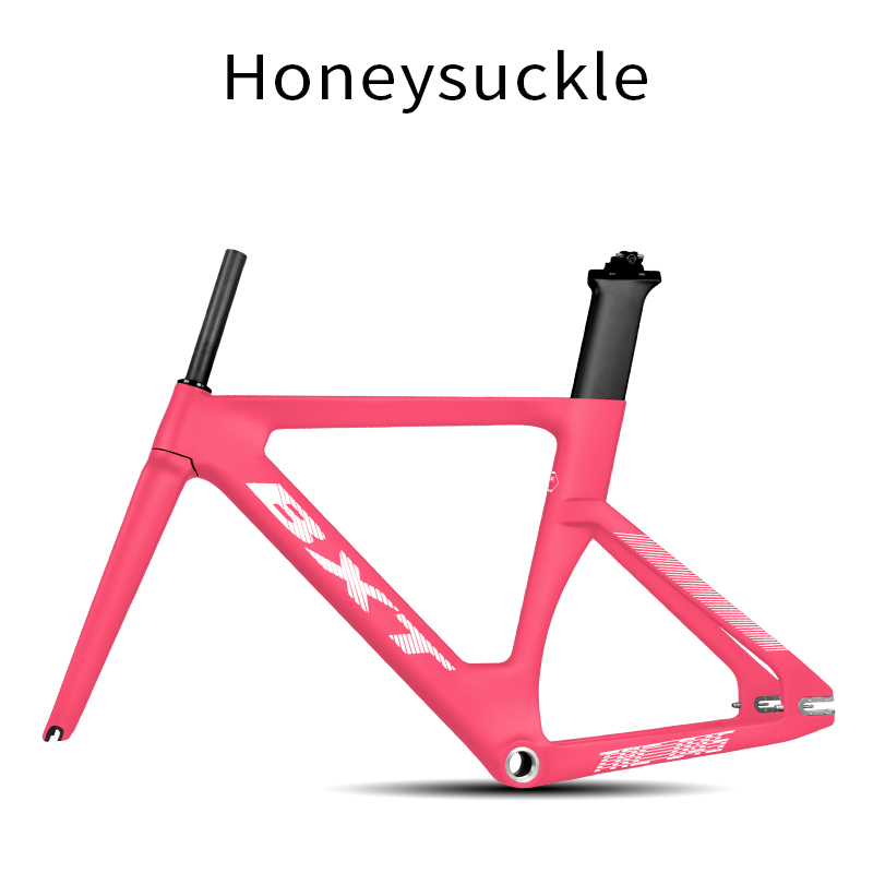 BXT Caprifoglio rosa-A