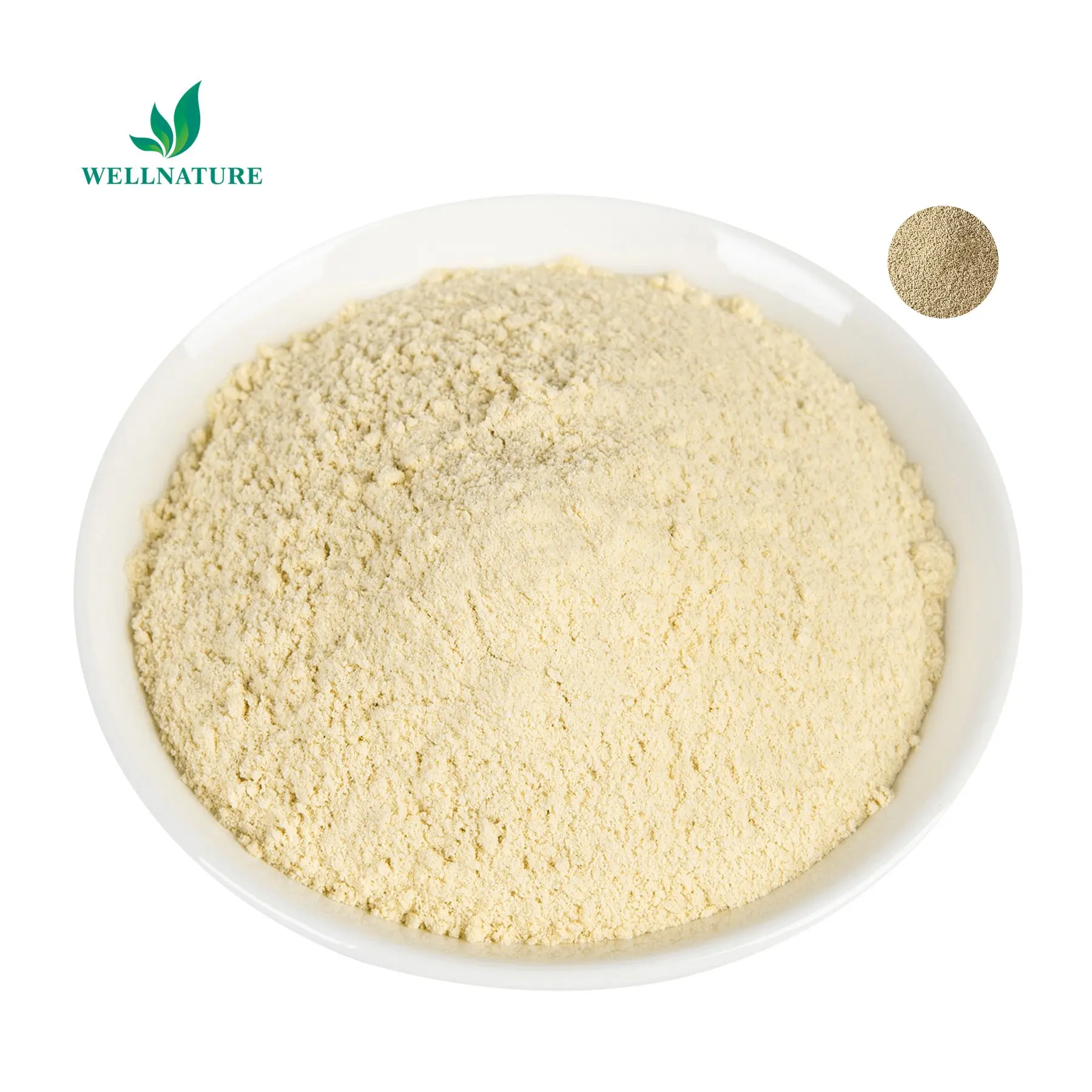 Prezzo all'ingrosso lievito orzo Beta glucano estratto in polvere estratto di avena in polvere 70% 80% Beta glucano