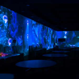 3d Holographic Immersive Mapping Projection Multi-Channel Projection <strong>Systems</strong> Management <strong>Systems</strong> - Product Image 2