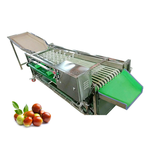 Macchina per la classificazione delle dimensioni della giuggiola di prugne di alta qualità Arabia saudita date smistatrice - Product Image 1