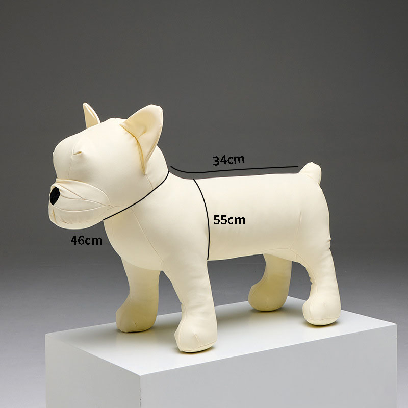 Bouledogue français FD blanc