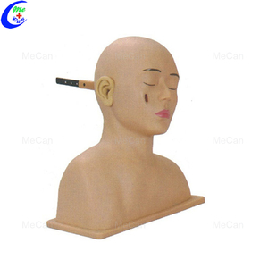 İnsan kulak muayene modeli tıbbi öğretim eğitimi anatomik Model tıbbi eğitim simülatörleri - Product Image 4