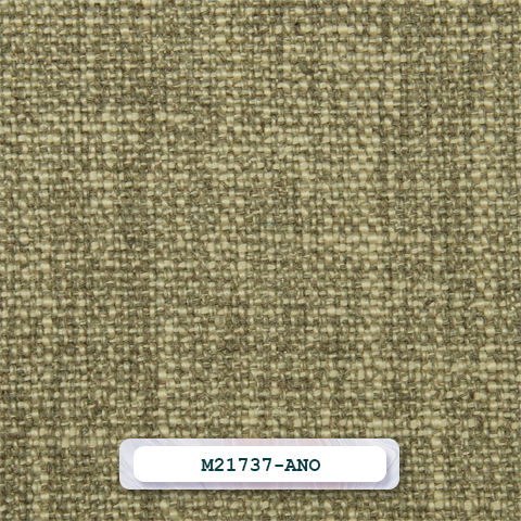 M21737-ANO