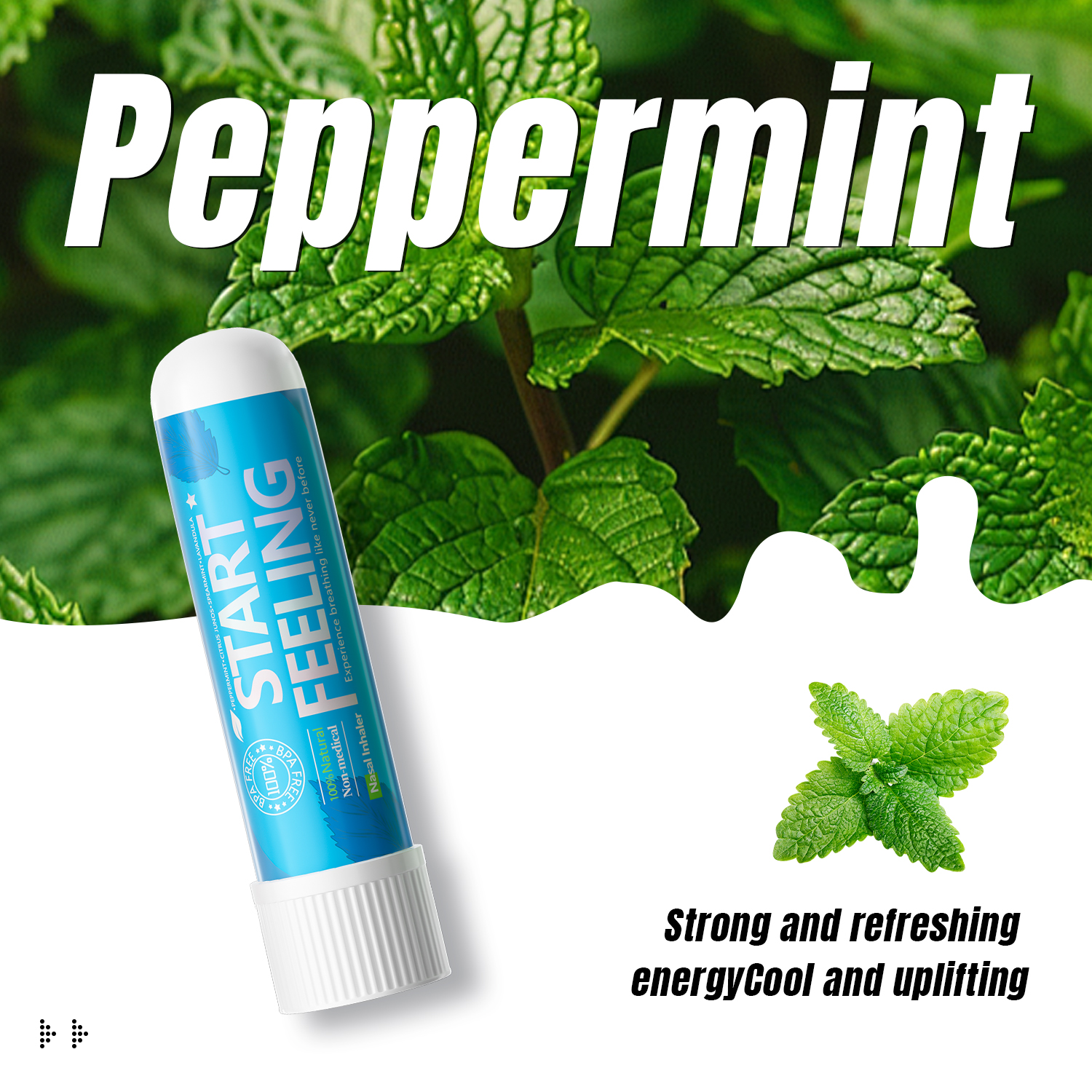 Menthe poivrée