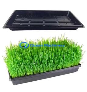 เครื่องทำภาชนะบรรจุอาหารถาดใส่ไข่แบบใช้แล้วทิ้งทำจากแผ่นโฟม PS PS - Product Image 6