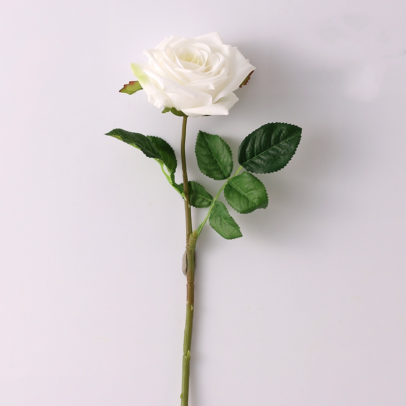 1.Blanco