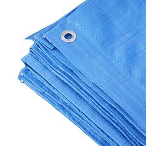 140G Vải Nhựa Màu Xanh Kích Thước Tùy Chỉnh Đảm Bảo Bảo Vệ Tối Ưu Sản Phẩm Nóng Tarpaulin Cuộn Để Bao Gồm Các Công Cụ Nội Thất - Product Image 2