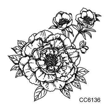 CC6136
