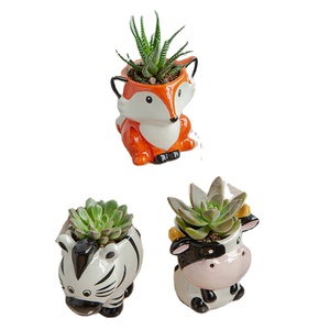<strong>K</strong>&amp;B Desktop Ceramic Flowerpot Set Simple Design Cartoon Animal Mini Indoor Plant Kit for <strong>Small</strong> &amp; Green Plants Garden Application - Product Image 1