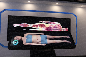 Digital <strong>Human</strong> Anatomy System Anatomage 3D Body Virtual Autopsy Table for School Medical School 3D Virtual Anatomage Table Price - Product Image 2