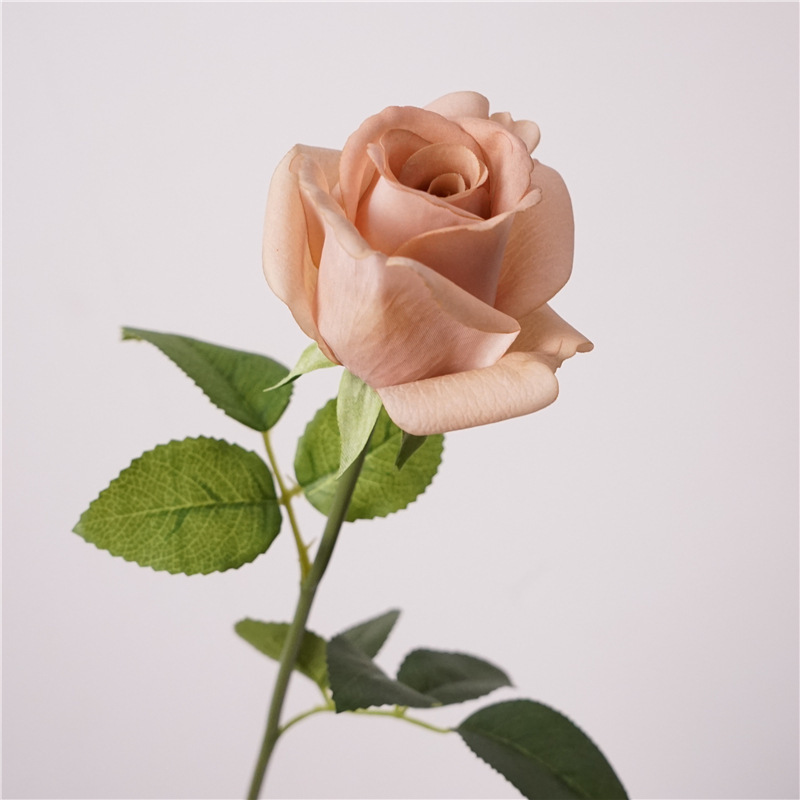 Single sprig kate rose-nude