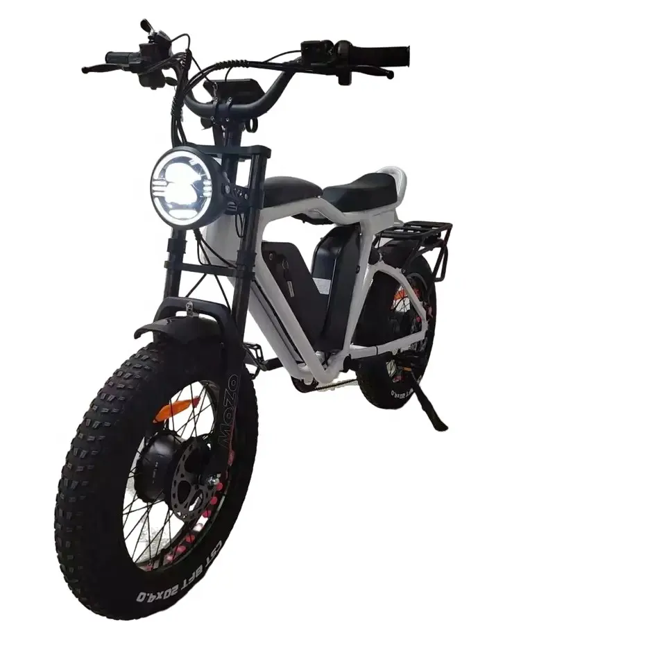 20 "X4.0 колеса, фара для электровелосипеда в 2000 Вт Двойной Мотор электрической с крупными покрышками для езды по 22ah * 2 Двойной аккумулятор полной подвеской гидравлический тормоз электрический велосипед с шинами