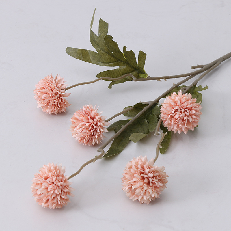 5 small ball chrysanthemums - autumn pink