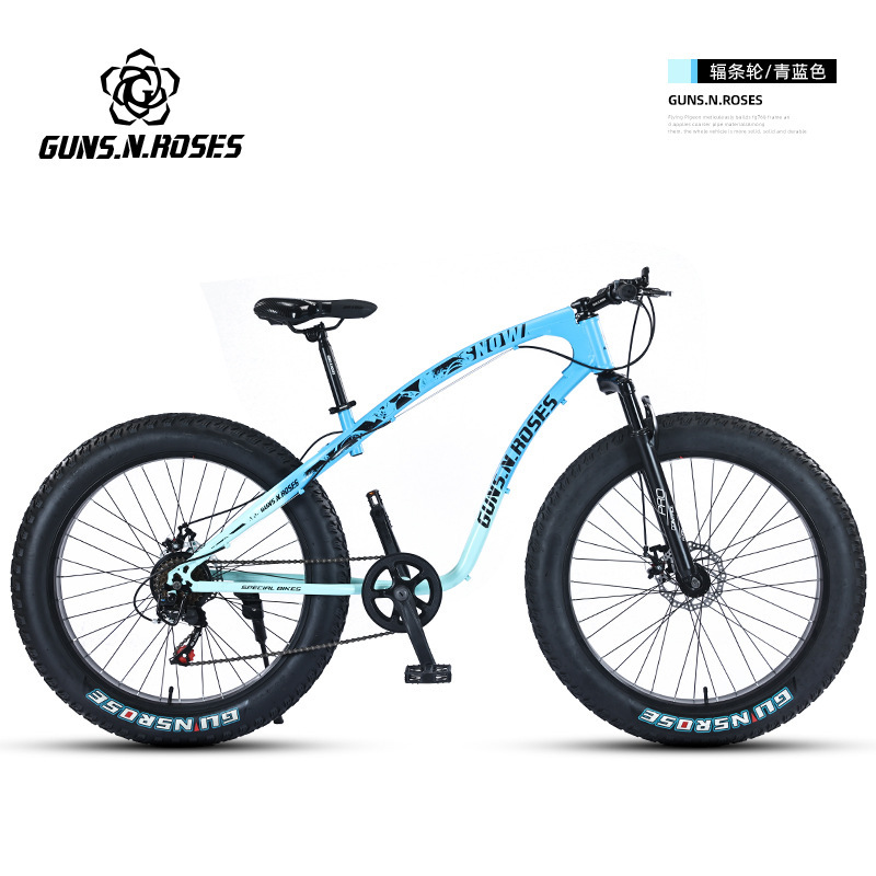 Roue à rayons bleu-vert