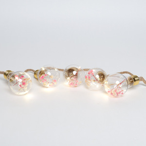 Battery Operated <strong>LED</strong> Lights <strong>LED</strong> fairy String Lightchain with Plastic Bulb Dry Flower - Product Image 2