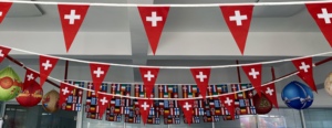 Bandera de cadena rectangular Maofeng, banderín de poliéster, banderines, decoración colorida, Bandera de cadena para pancartas al por mayor - Product Image 6