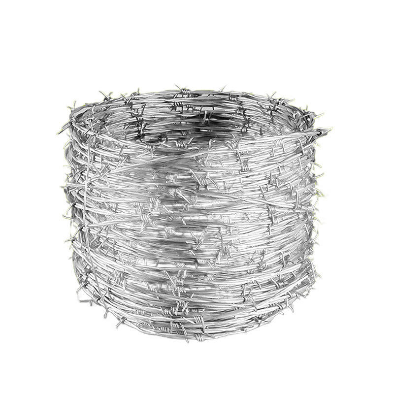 Fil de fer barbelé tordu régulier Double brin blanc