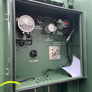Ped monte trafo 13.8kV 23kV 1200kVA 1250kVA kutu tipi trafo 400V çıkış 35kV giriş 50/60Hz frekans UL IEE - Product Image 4