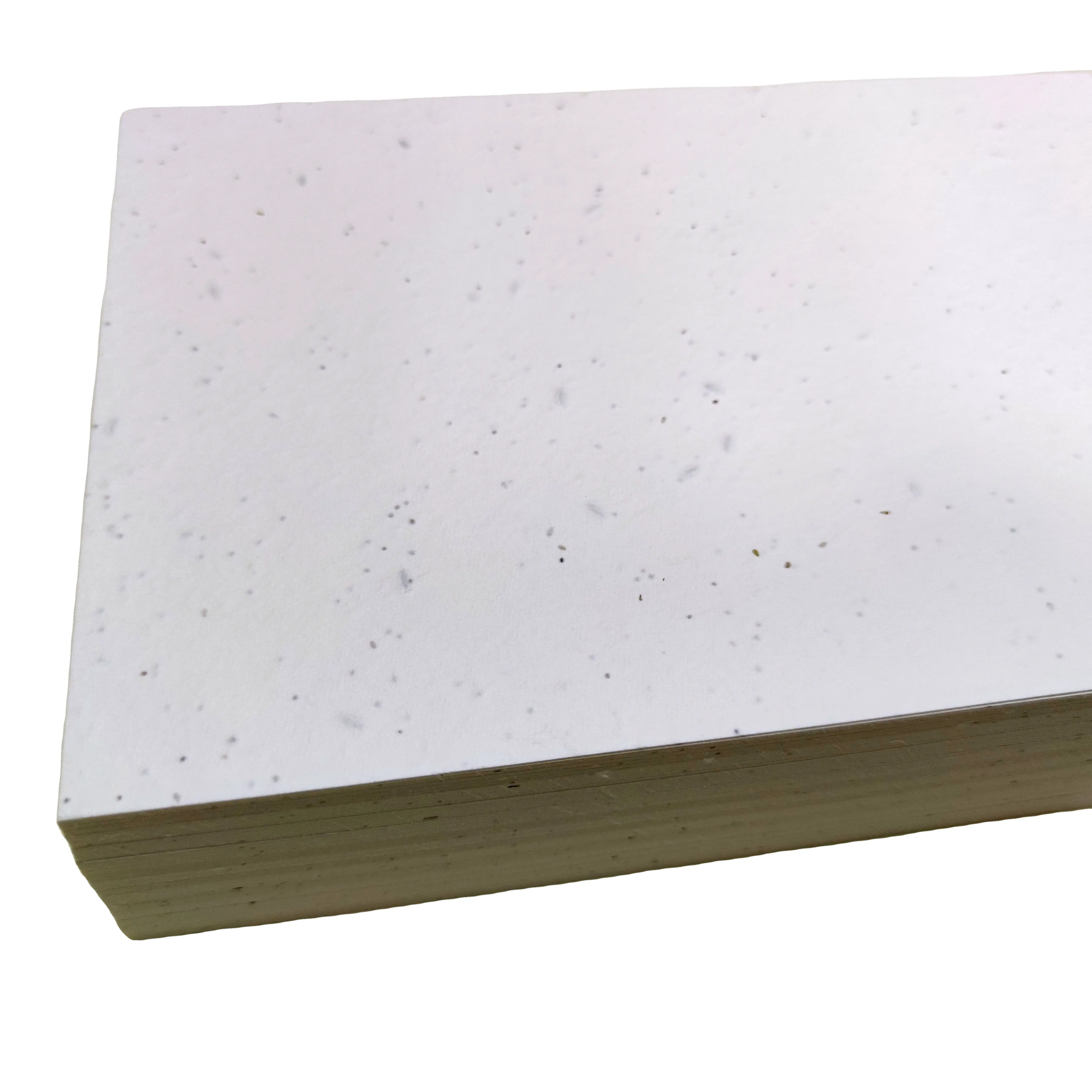 200gsm piantabile carta semi carta fatta a mano stile formato A4