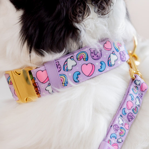 Correa de perro ajustable de nailon de poliéster suave con patrón de dijes encantados personalizados con etiqueta de identificación OEM ODM fabricante de correa para mascotas - Product Image 1