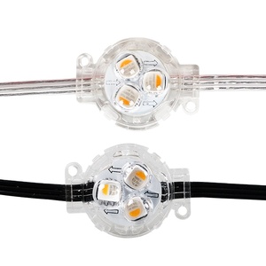 Ws2811 24v 12mm Rgbw Led Pixel Light Bullet modulo nodo stringa Ip68 luci Pixel architettoniche per le vacanze all'aperto - Product Image 1