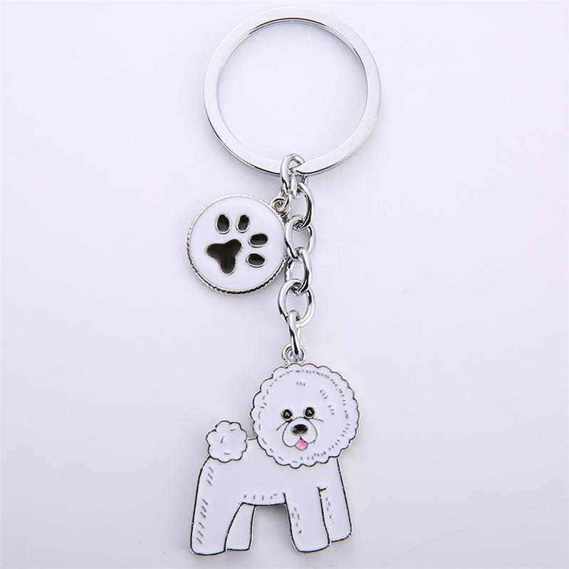 bichon frise