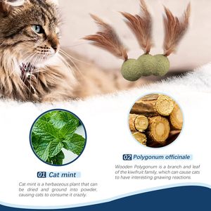 Bolas de juguete de menta comprimida de hierba gatera 100% natural para satisfacer la necesidad del gato de bola de estimulación Catnip - Product Image 3