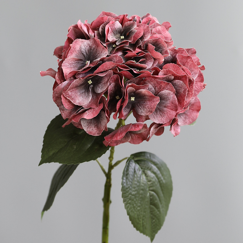 Dark Red