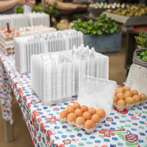 Rõ ràng nhựa hộp trứng với 6 12 15 20 30 tế bào-chục Hộp Đựng Trứng rỗng cho trứng gà Bao bì & in ấn - Product Image 6