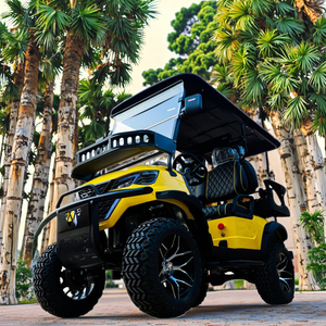 TongCai, сверхмощная тележка для гольфа, для обслуживания Марины, 60 В, 2, 4, 6, 8 мест, литиевая батарея, 100Ah, 4x4, грязевые шины, тележки для гольфа - Product Image 1