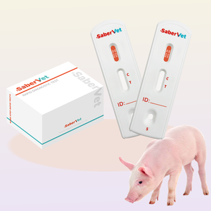 <span class=keywords><strong>Kit</strong></span> de <span class=keywords><strong>test</strong></span> rapide <span class=keywords><strong>elisa</strong></span> pour porc de bétail <span class=keywords><strong>Test</strong></span> rapide d'anticorps de <span class=keywords><strong>circovirus</strong></span> porcin <span class=keywords><strong>kit</strong></span> de <span class=keywords><strong>test</strong></span> de diagnostic rapide vétérinaire - Product Image 2