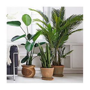 Linwooビッグ人工屋外オリーブオイルアジサイの木人工植物人工ヤシの木の家の装飾 - Product Image 2