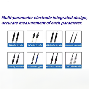 Lorawan IOT điện cực trực tuyến có thể được tùy chỉnh cảm biến chất lượng nước đa thông số Ph Ec nhiệt độ độ đục cho thủy canh - Product Image 4