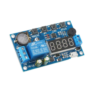 Modulo relè di ritardo in tempo reale XY-BJ interruttore di controllo del Timer relè di temporizzazione con DC 12V 24V - Product Image 1