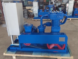 A prova di esplosione di scarico gpl compressore di raffreddamento ad acqua per camion cisterna certificata CE/ATEX - Product Image 5