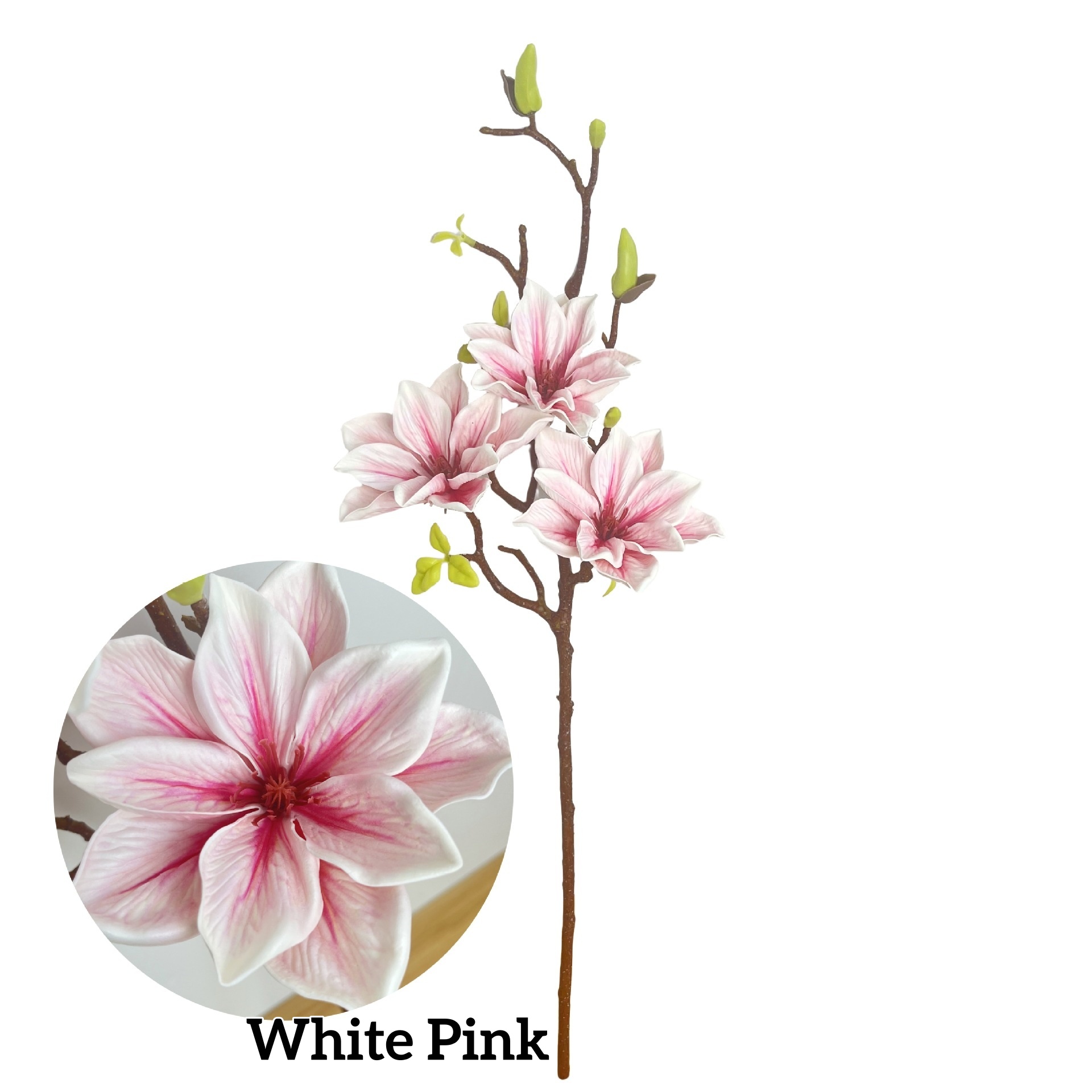 Blanc Rose